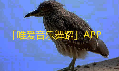 「唯爱音乐舞蹈」APP热门，你还在等什么！