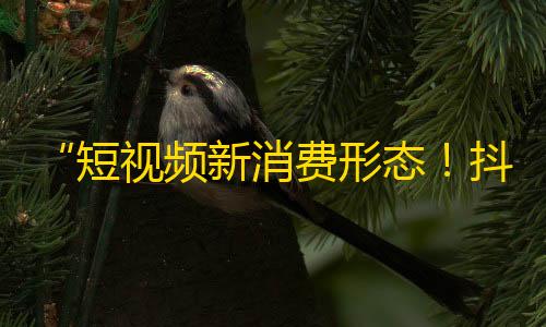 “短视频新消费形态！抖音风口上的成长密码”