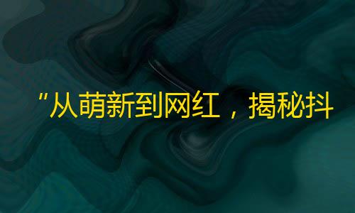 “从萌新到网红，揭秘抖音刷粉全套攻略！”