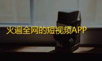 火遍全网的短视频APP,快手，抖音创粉丝记录！