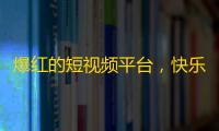 爆红的短视频平台，快乐刷粉丝数量