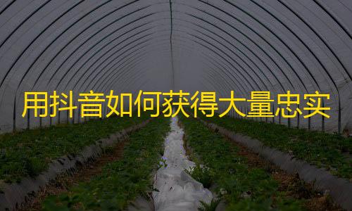 用抖音如何获得大量忠实粉丝？