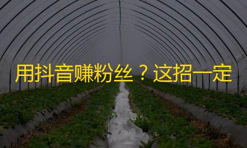 用抖音赚粉丝？这招一定不错！