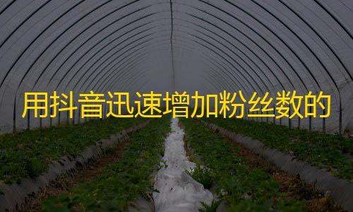 用抖音迅速增加粉丝数的有效方法