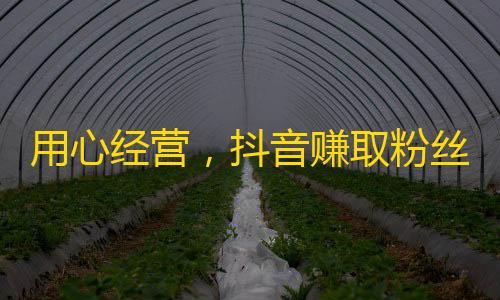 用心经营，抖音赚取粉丝的技巧和方法分享