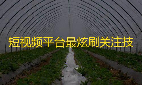 短视频平台最炫刷关注技巧，全网最全方法大白话传授