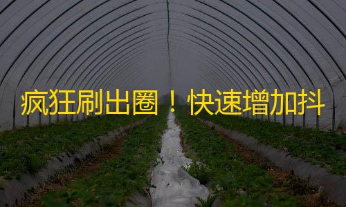 疯狂刷出圈！快速增加抖音粉丝数量的实用技巧！