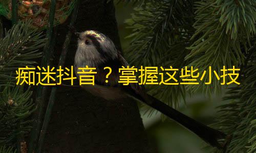 痴迷抖音？掌握这些小技巧助你快速增加关注！