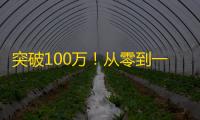 突破100万！从零到一打造抖音爆红账号，轻松刷粉丝。