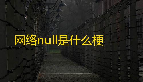 网络null是什么梗