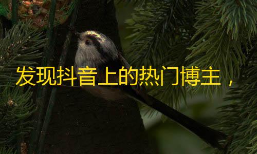 发现抖音上的热门博主，轻松增加粉丝！