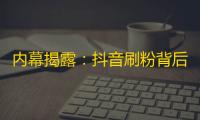 内幕揭露：抖音刷粉背后的秘密策略！