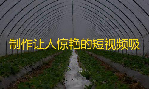 制作让人惊艳的短视频吸引更多粉丝