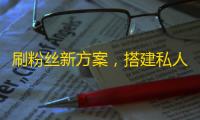 刷粉丝新方案，搭建私人号、融入内容营销，打造独特IP，让你的抖音变得与众不同！