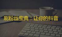 刷粉丝宝典：让你的抖音人气窜升