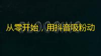 从零开始，用抖音吸粉动态图视频创意营销策略，获千万粉丝，实现营销价值！