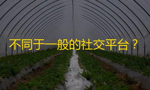 不同于一般的社交平台？新手必读！学会抖音刷粉丝三步策略