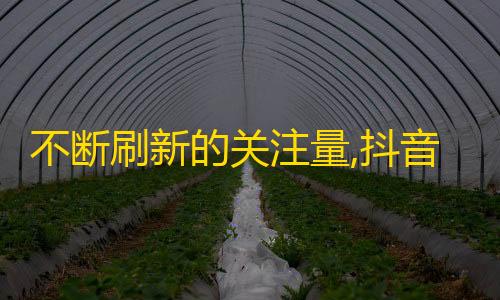 不断刷新的关注量,抖音账号增粉技巧