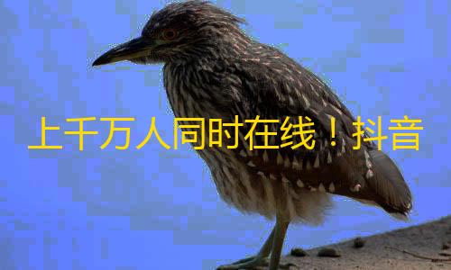 上千万人同时在线！抖音爆红，狂刷关注引爆人气！让你过上别样的生活！