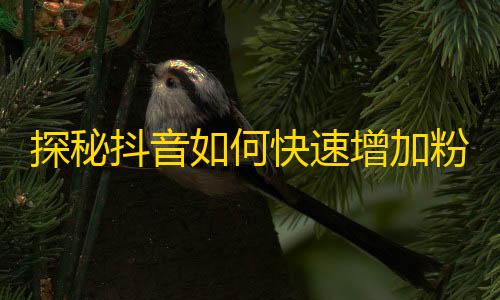 探秘抖音如何快速增加粉丝？