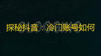 探秘抖音：冷门账号如何轻松获得粉丝？