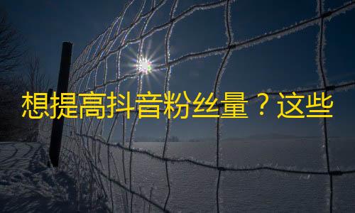 想提高抖音粉丝量？这些小技巧可帮你加强你的个人形象在抖音上的传播。