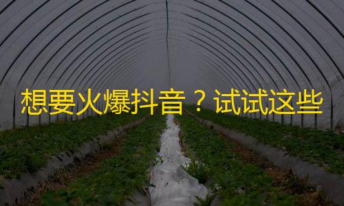 想要火爆抖音？试试这些方法，快速增加关注！