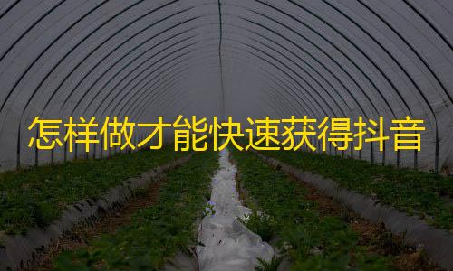 怎样做才能快速获得抖音粉丝？学会这些高效刷粉技巧！