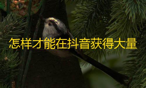 怎样才能在抖音获得大量关注？这些技巧可以帮助你提升自己的粉丝数量。