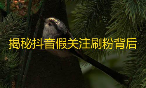 揭秘抖音假关注刷粉背后的黑色产业链！