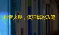 抖音火爆，疯狂增粉攻略，还你高速关注光环！