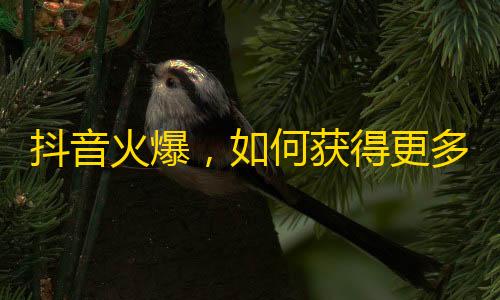 抖音火爆，如何获得更多的粉丝？