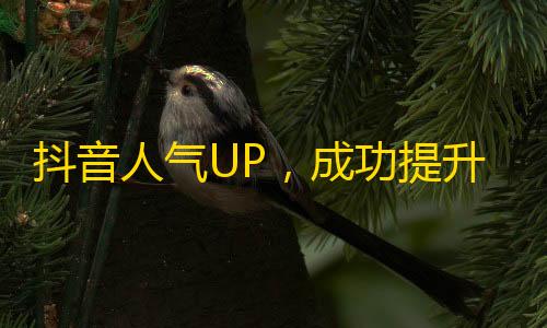 抖音人气UP，成功提升关注，粉丝数直线增长！