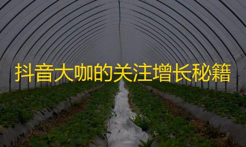 抖音大咖的关注增长秘籍，让你粉丝爆棚