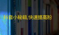 抖音小秘籍,快速提高粉丝数的方法！