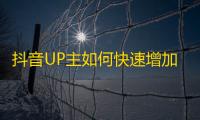 抖音UP主如何快速增加粉丝？附超实用技巧！