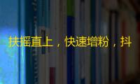 扶摇直上，快速增粉，抖音高效刷关注方法大揭秘！