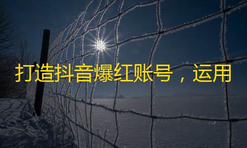 打造抖音爆红账号，运用高效刷粉技巧。