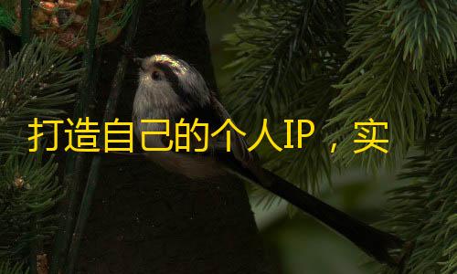 打造自己的个人IP，实现抖音粉丝数快速增长！