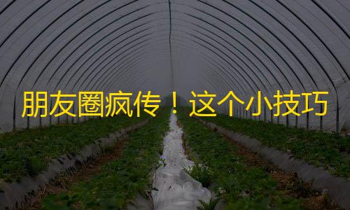 朋友圈疯传！这个小技巧让你的抖音视频瞬间爆火，［超详细］教你如何做到这一点。