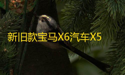 新旧款宝马X6汽车X5电子手刹模块电机驻车伺服 E70 E71马达配件