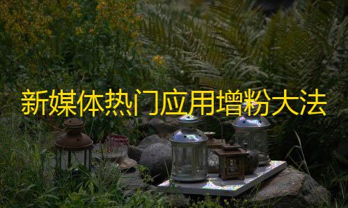 新媒体热门应用增粉大法，想要快速增加关注量，快来了解一下抖音平台的秘密！