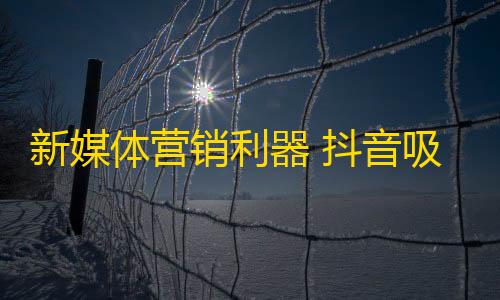 新媒体营销利器 抖音吸粉神器，提高流量的关键方法，发掘更多精彩！