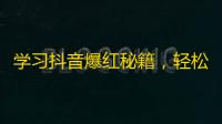 学习抖音爆红秘籍，轻松get超多粉丝！