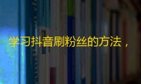 学习抖音刷粉丝的方法，成功吸引更多的用户关注。