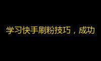 学习快手刷粉技巧，成功吸粉攻略（31字）