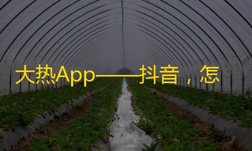 大热App——抖音，怎么才能快速赚到关注？