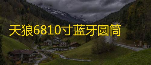 天狼6810寸蓝牙圆筒大功率重低车载有源汽车低音炮12V24V220V音响