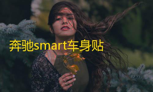 奔驰smart车身贴 拉花 改装专用车贴纸 整车贴 汽车贴纸 包邮