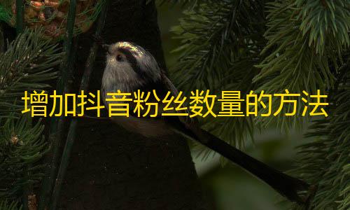 增加抖音粉丝数量的方法不止一个